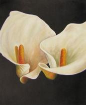Květiny - Dvě kaly, obrazy ručně malované