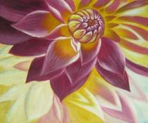 Květiny -  Rozkvetlá Chrizantéma, obrazy ručně malované
