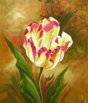 Květiny - Tulipán, obrazy ručně malované