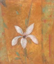 Květiny - Naděje, obrazy ručně malované