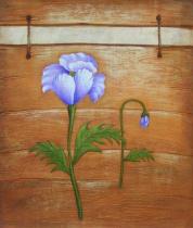 Květiny - Fialkové květy, obrazy ručně malované