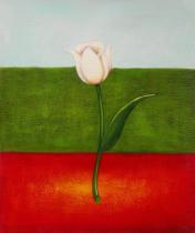 obrazy, reprodukce, Italský tulipán