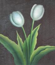 obrazy, reprodukce, Tulipány bílé