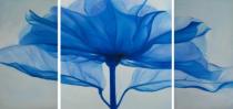 bestseler: Modrý květ