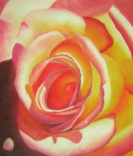 obraz Čajová růže