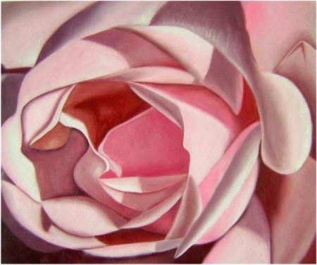 obraz Růžová růže