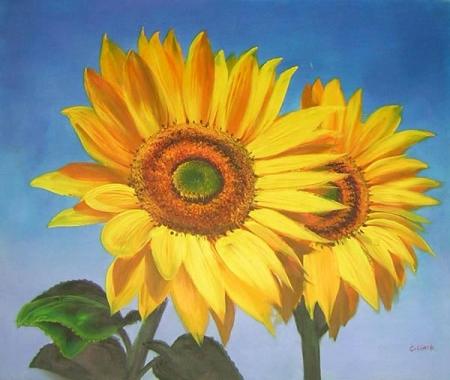 obraz Dvě slunečnice 1