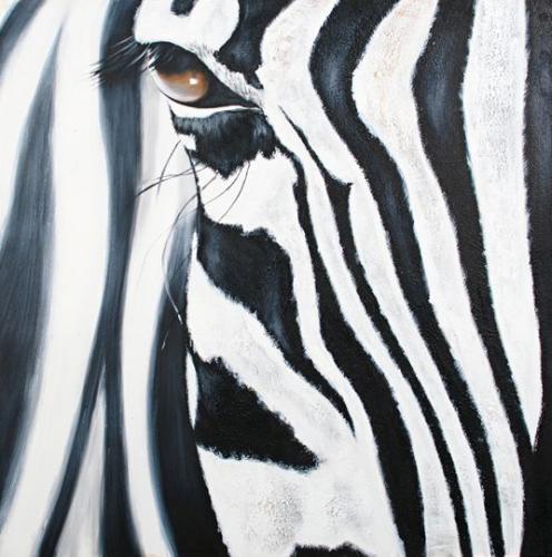 obraz Zebra