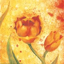 obrazy, reprodukce, Barevný tulipán