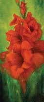 obrazy, reprodukce, Červená gladiola