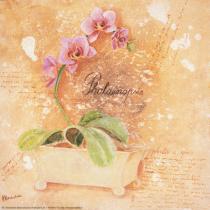 obrazy, reprodukce, Růžová orchidej dekorace