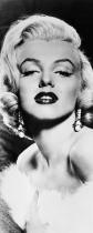 bestseler: Marilyn Monroe (20 x 50)