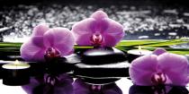 bestseler: Spa still life with set of pink orchid and stones 