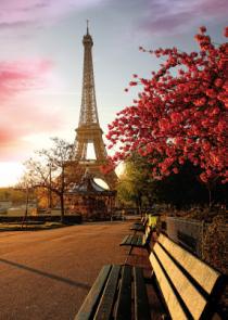 obraz Paříž - Eiffelova věž na jaře